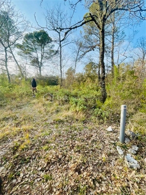 terrain de loisirs à la vente -   83860  NANS LES PINS, surface 2500 m2 vente terrain de loisirs - UBI473003090